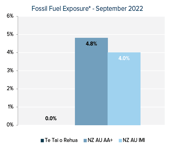 Fossil fuel exposure